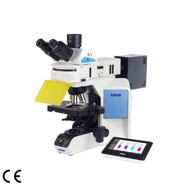 Fluorescence Microscope, MSC-F43N